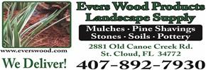Evers Wood 